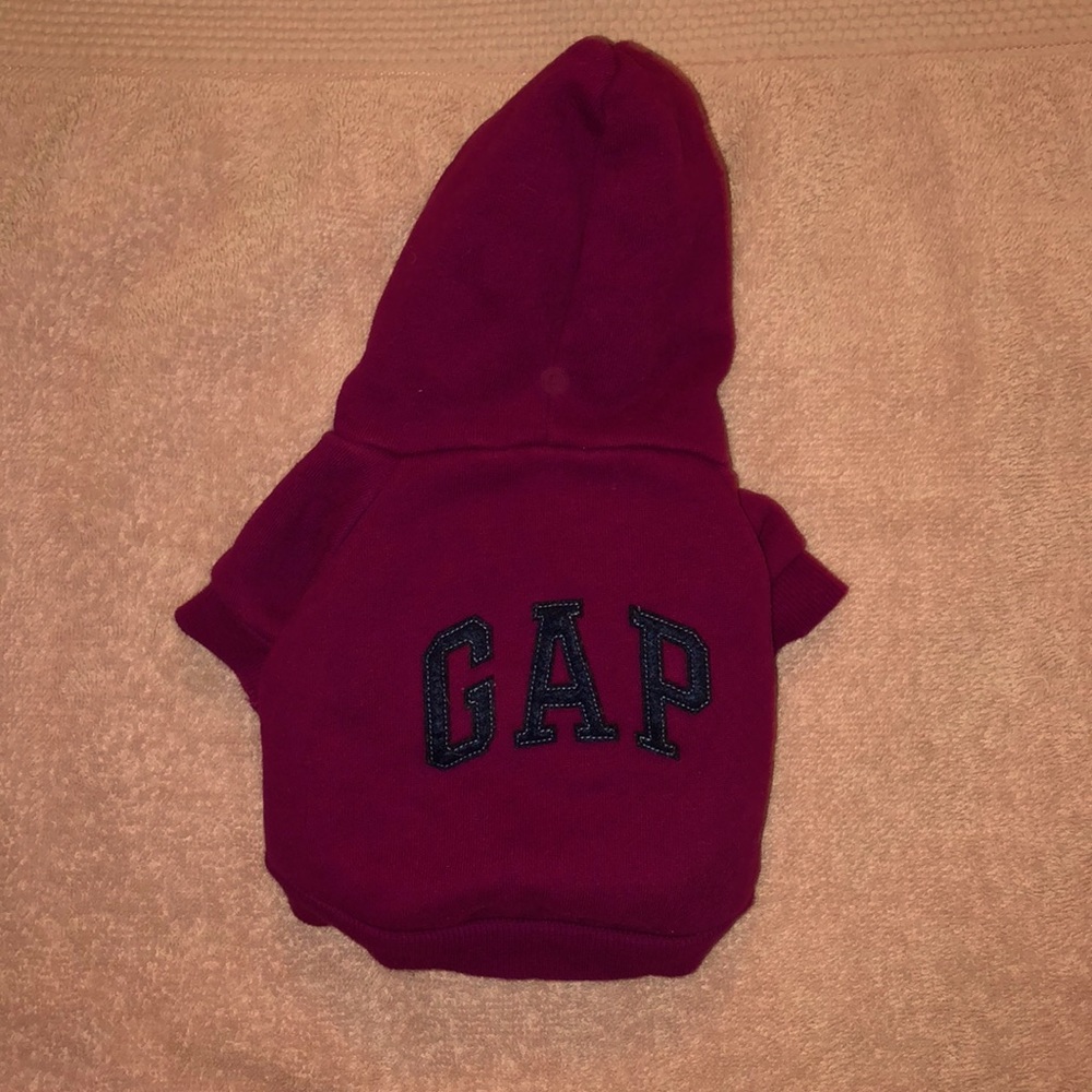 Small Dog Hoodie